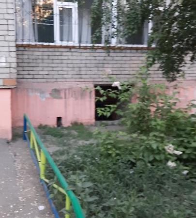 Appartement Cosy flat à Semey Extérieur photo